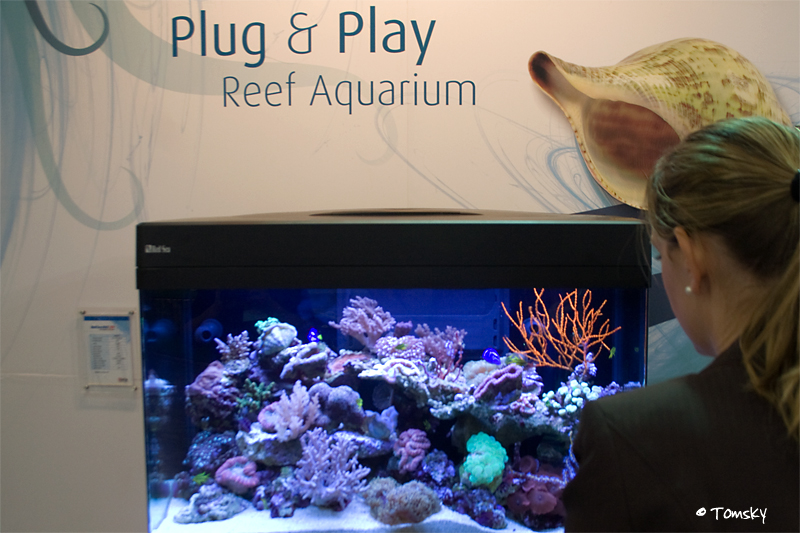 Plug & Play